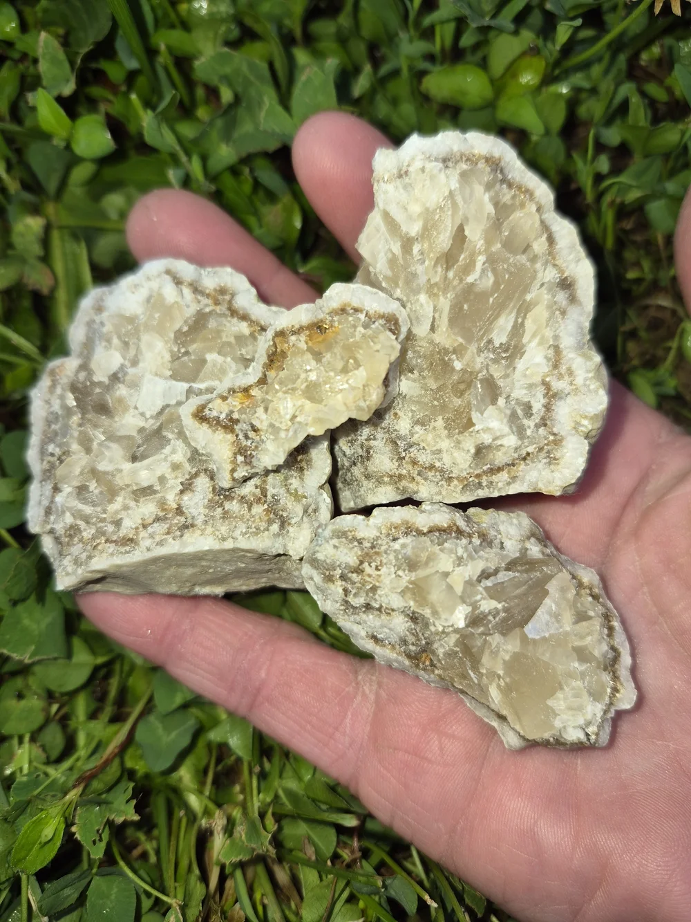 Raw Natural And Uncut Crystals And Fossils